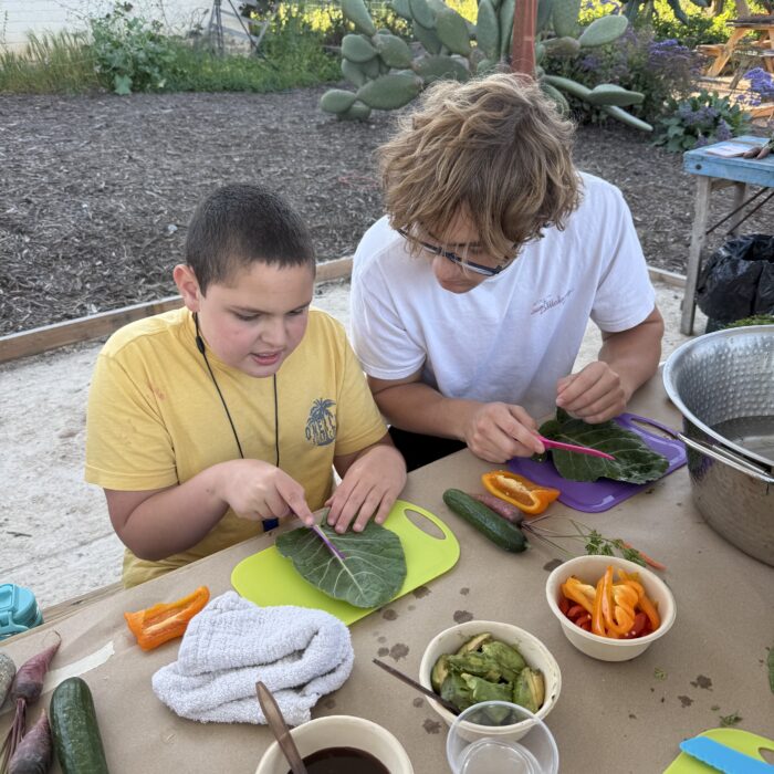 Food to Grow Farm Camp