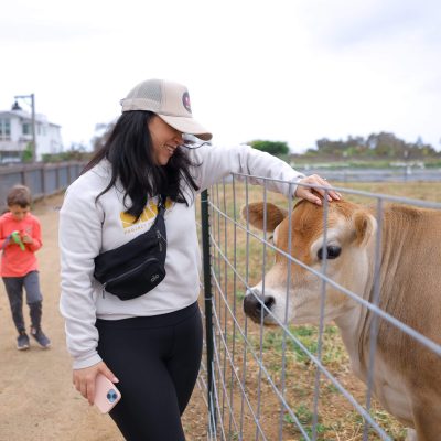 Woman petting cow through wire fence